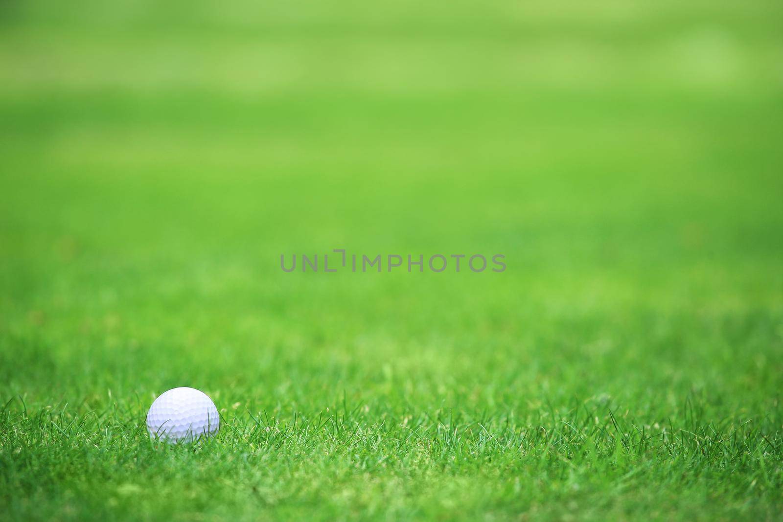 Golf ball on green grass background by destillat
