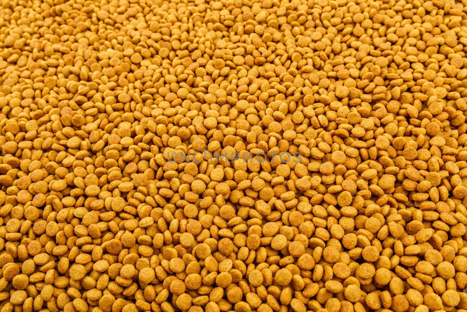 full frame background of small dry orange cat food crockets close-up with selective focus