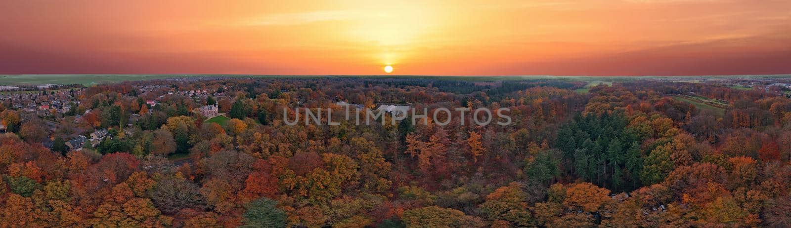 Panoramic aerial from a forest in the countryside from the Netherlands in fall by devy