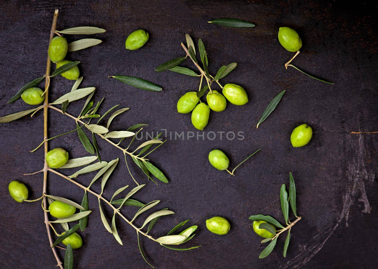 Olive oil and olive branch on the black background