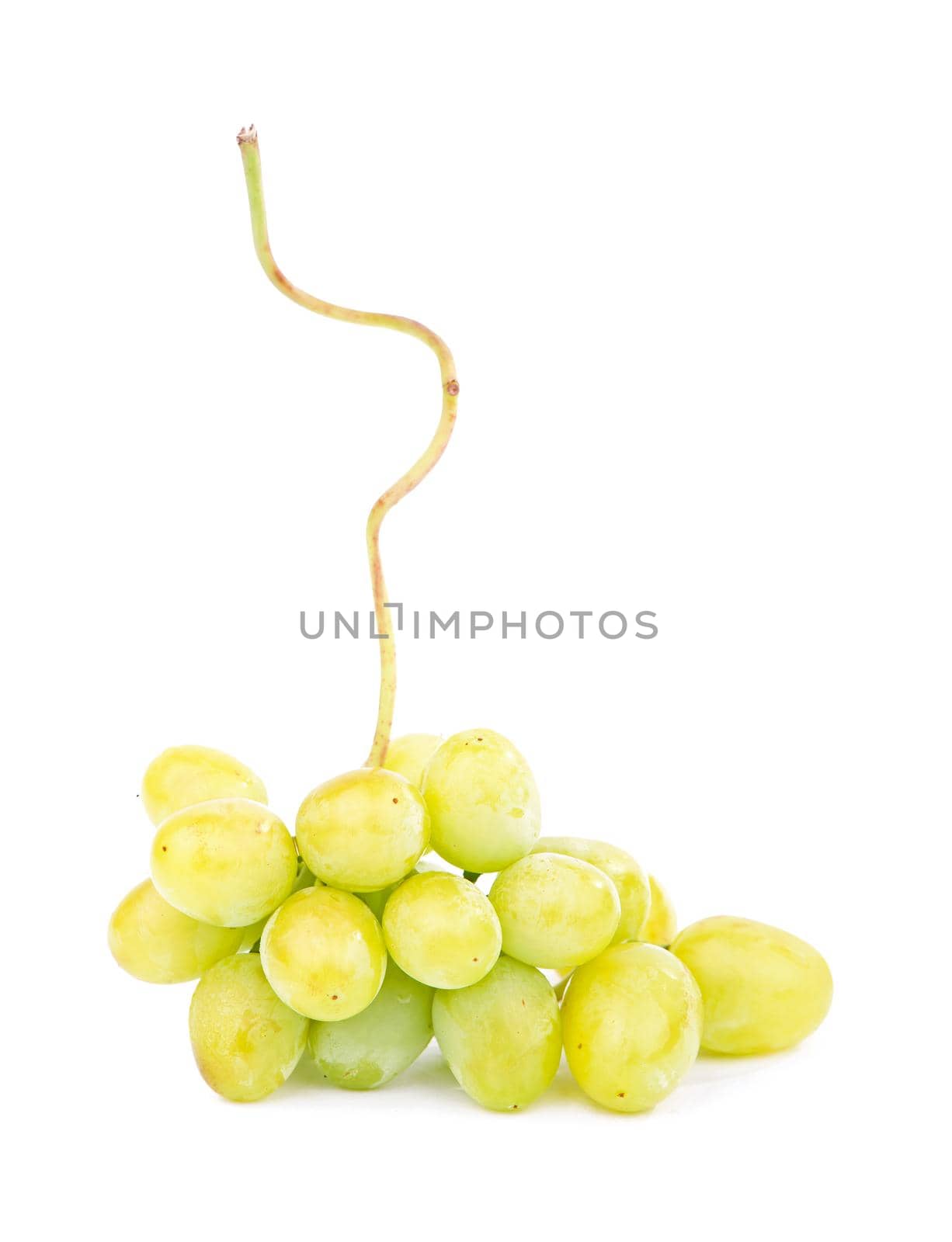 Green grape with leaves isolated on white. With clipping path.