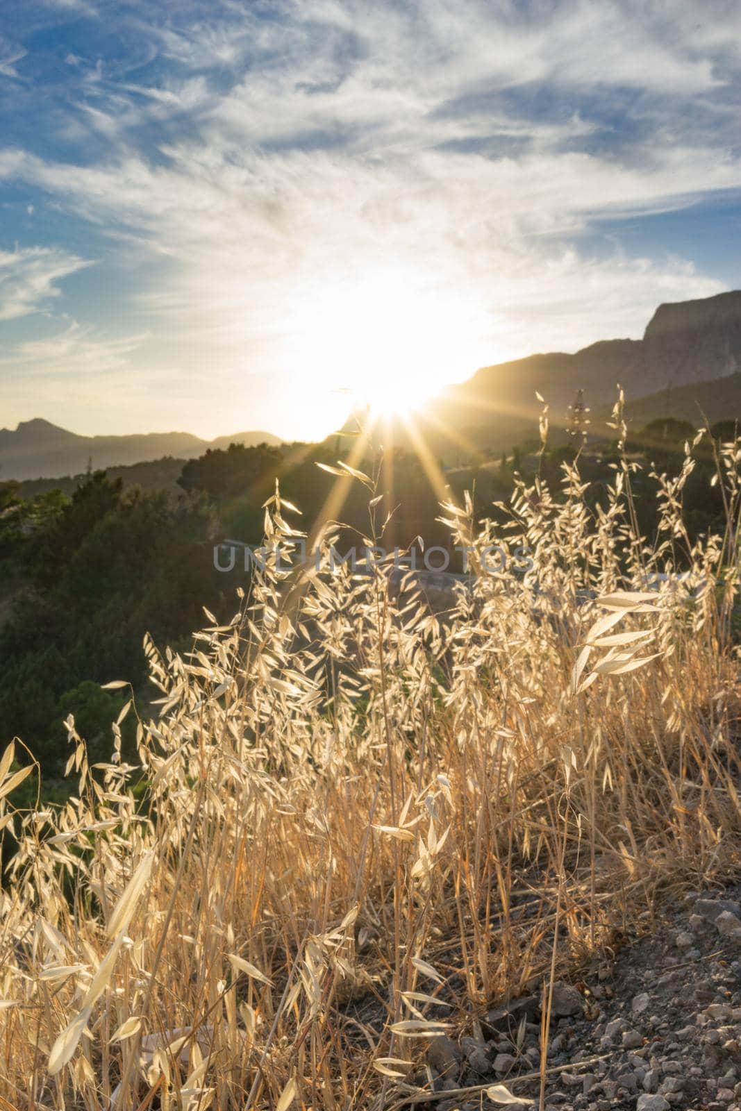 Dry grass on the background of the mountain landscape and the sun.