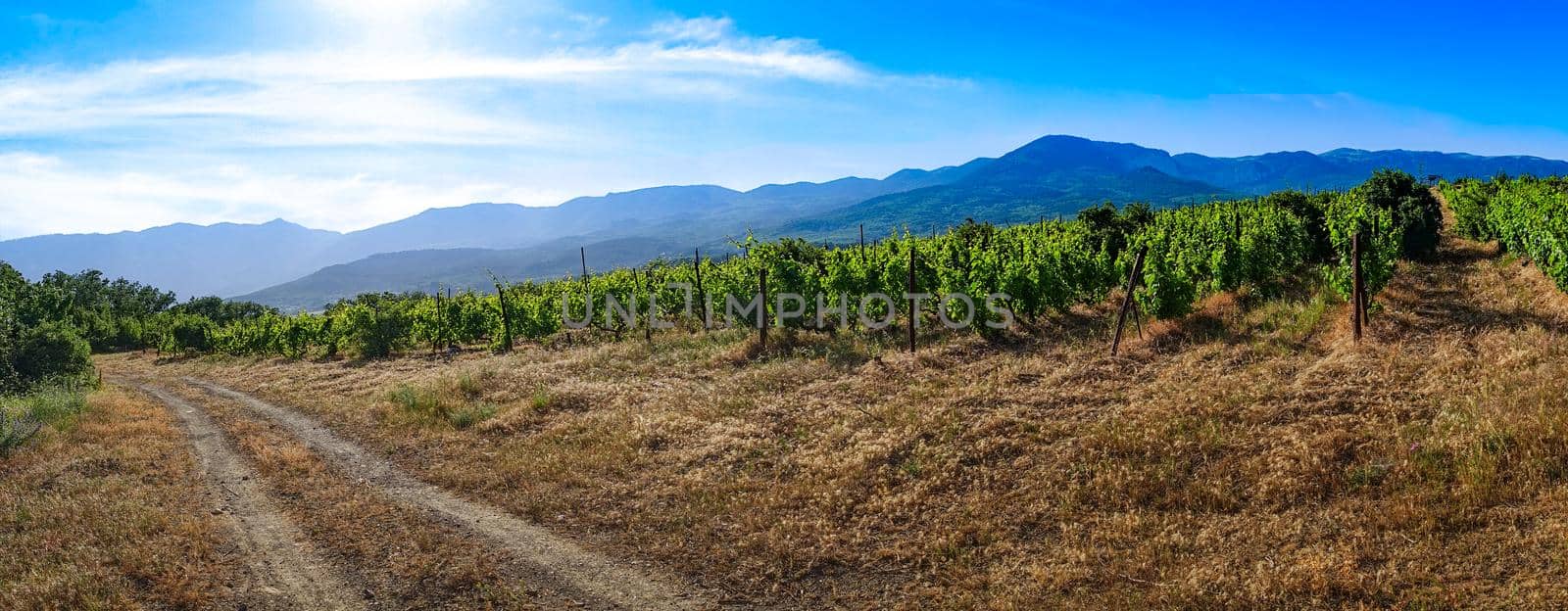 panorama of the natural landscape with the road. by Vvicca