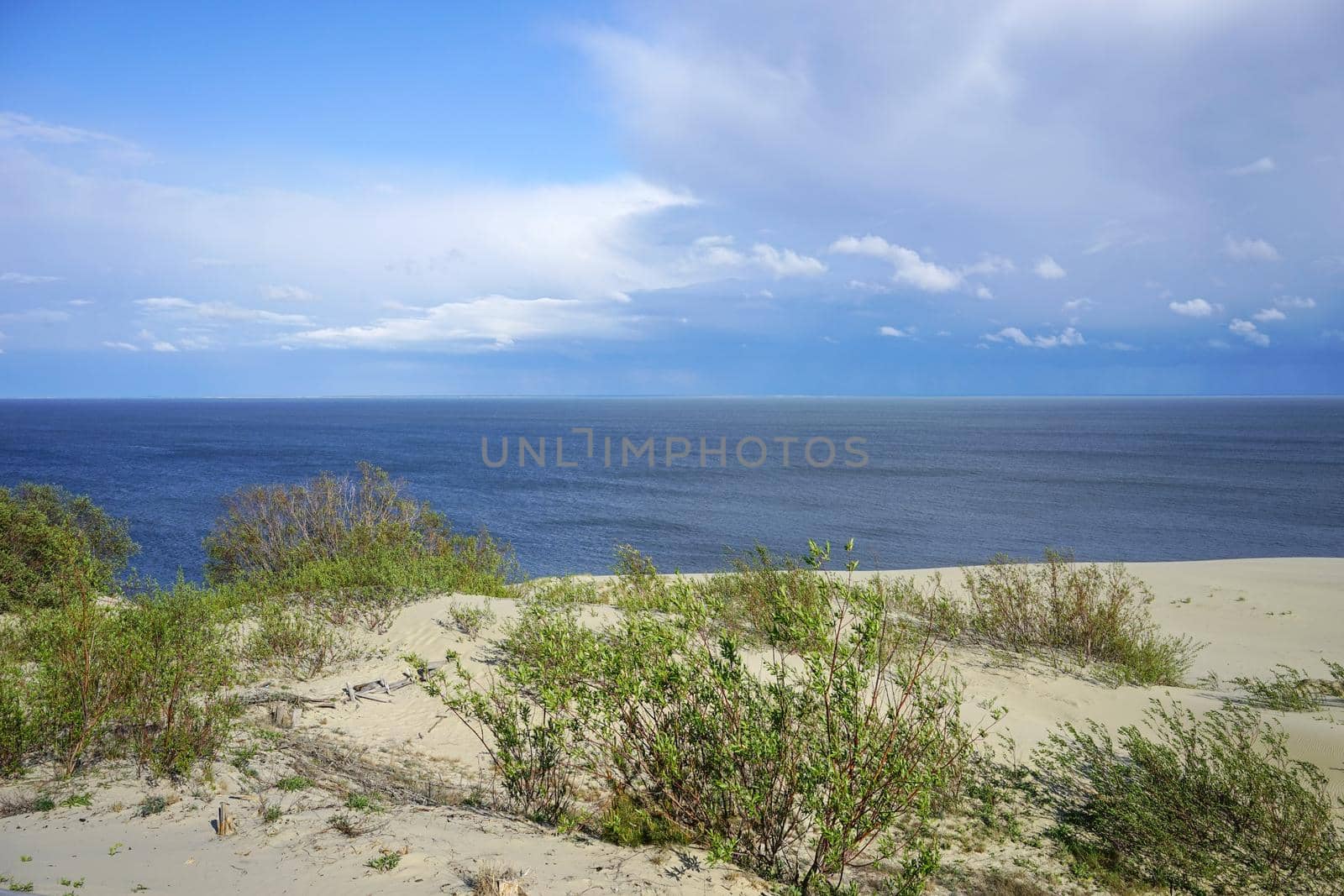 Deserted seascape on the Baltic sea and sand dunes