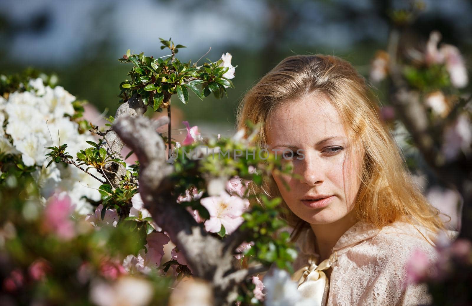 Portrait of a blond girl among the flowers of azalea in the rays of sunlight