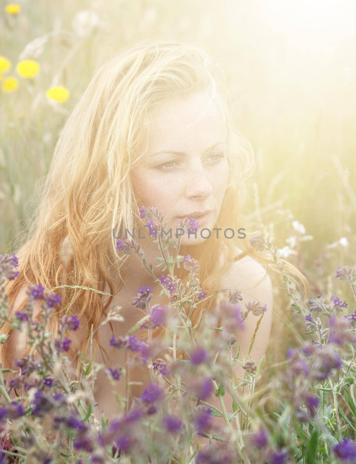 Artistic portrait of freckled woman on natural background. Young woman enjoying nature among the flowers and grass. Close up summer portrait 
