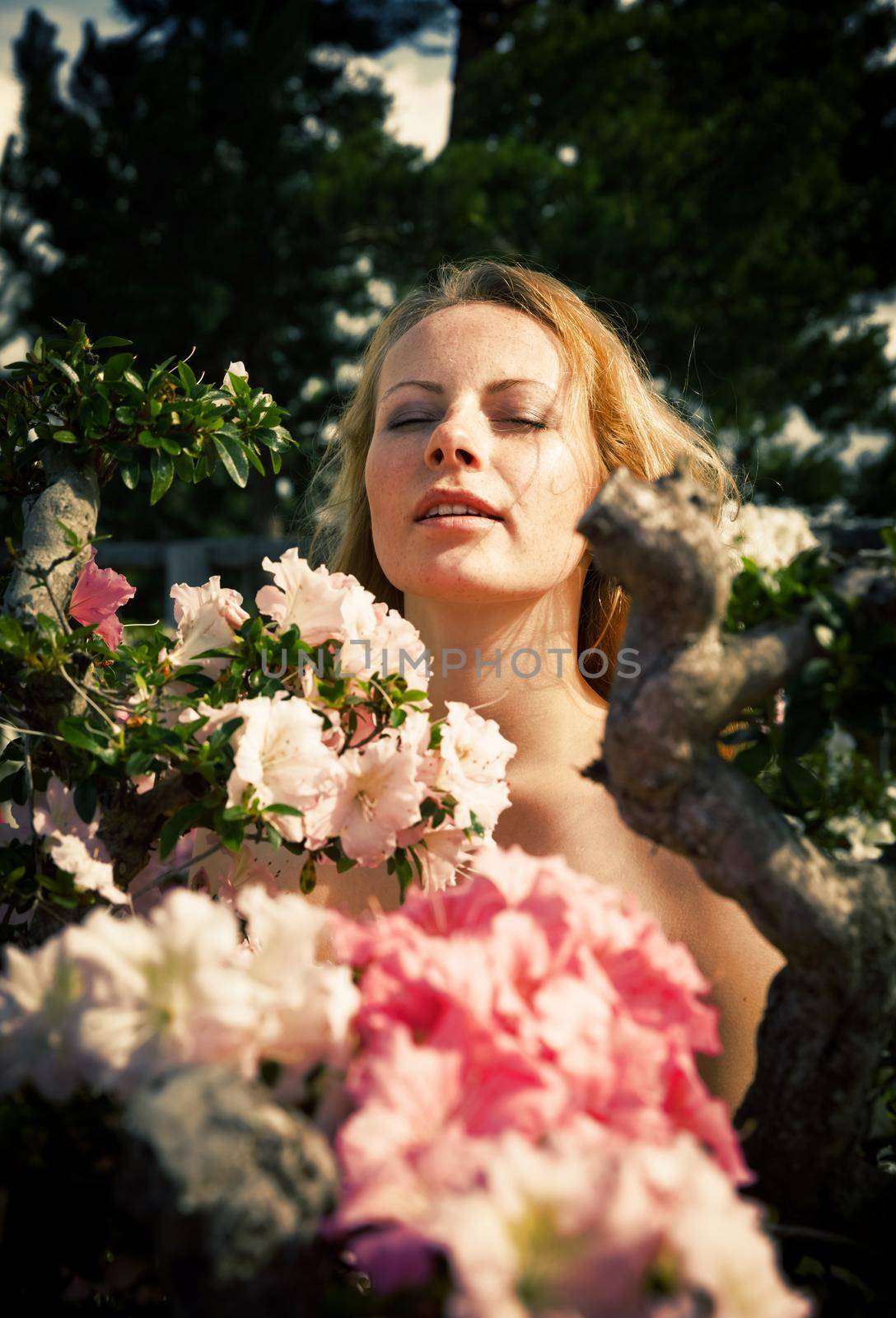 Portrait of a blond girl among the flowers of azalea in the rays of sunlight