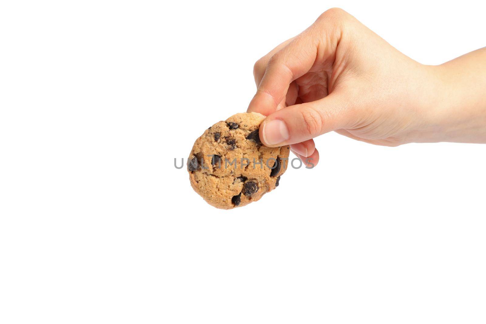 Woman holding tasty chocolate chip cookie on white background, closeup