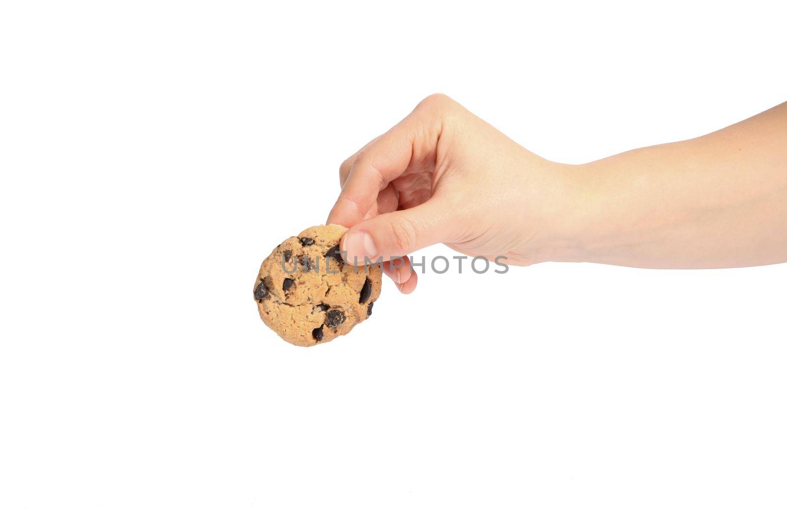 Woman holding tasty chocolate chip cookie on white background, closeup