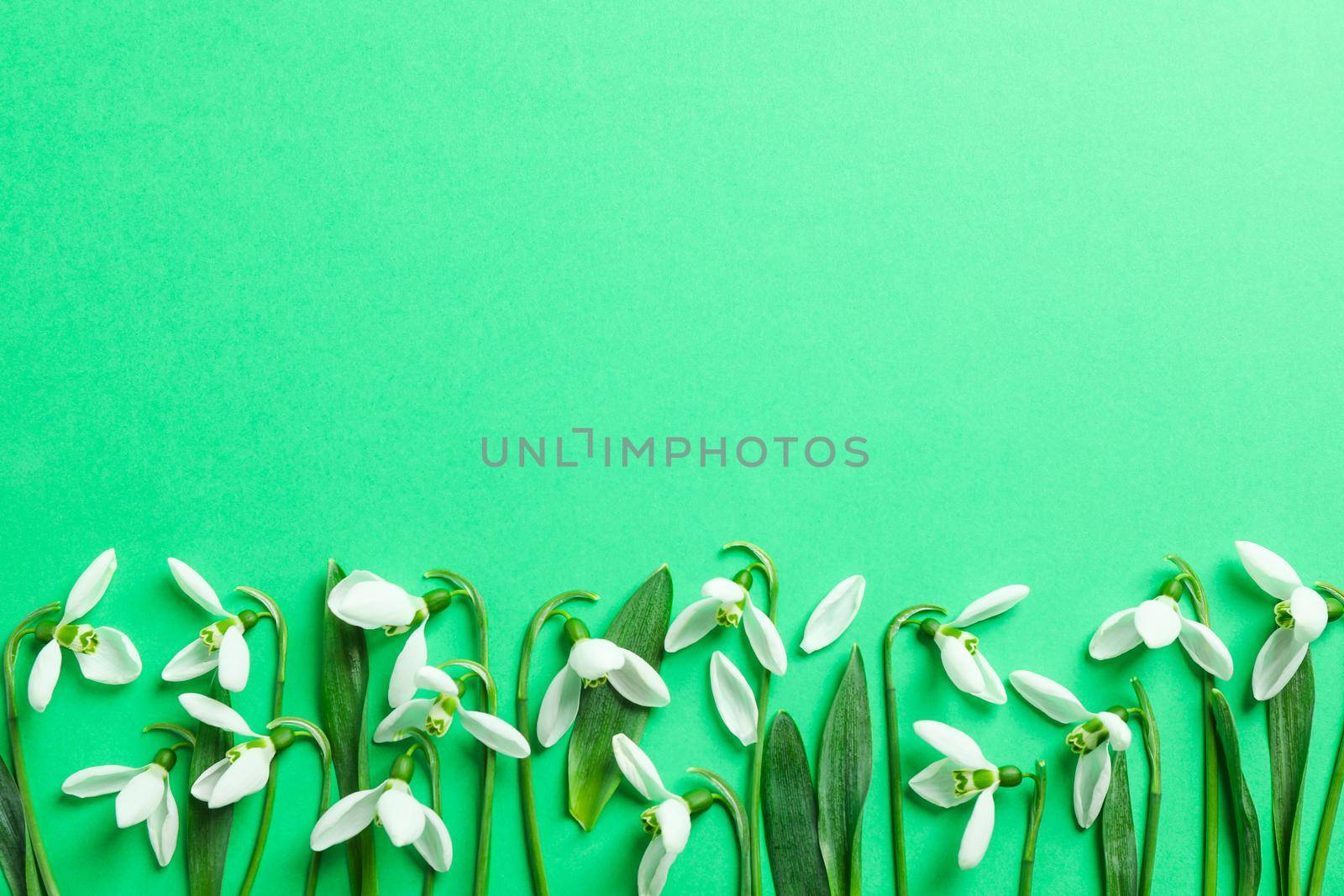 Beautiful spring snowdrop flowers on color background, space for text