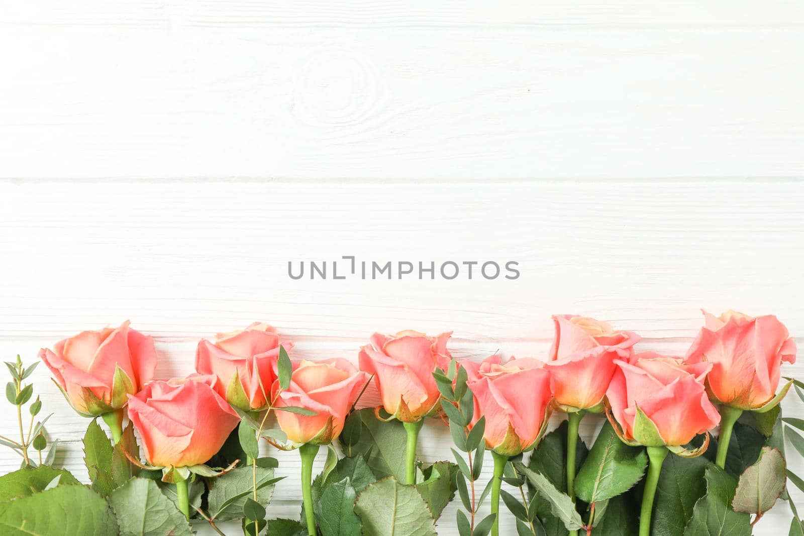 Beautiful orange roses on white background, space for text