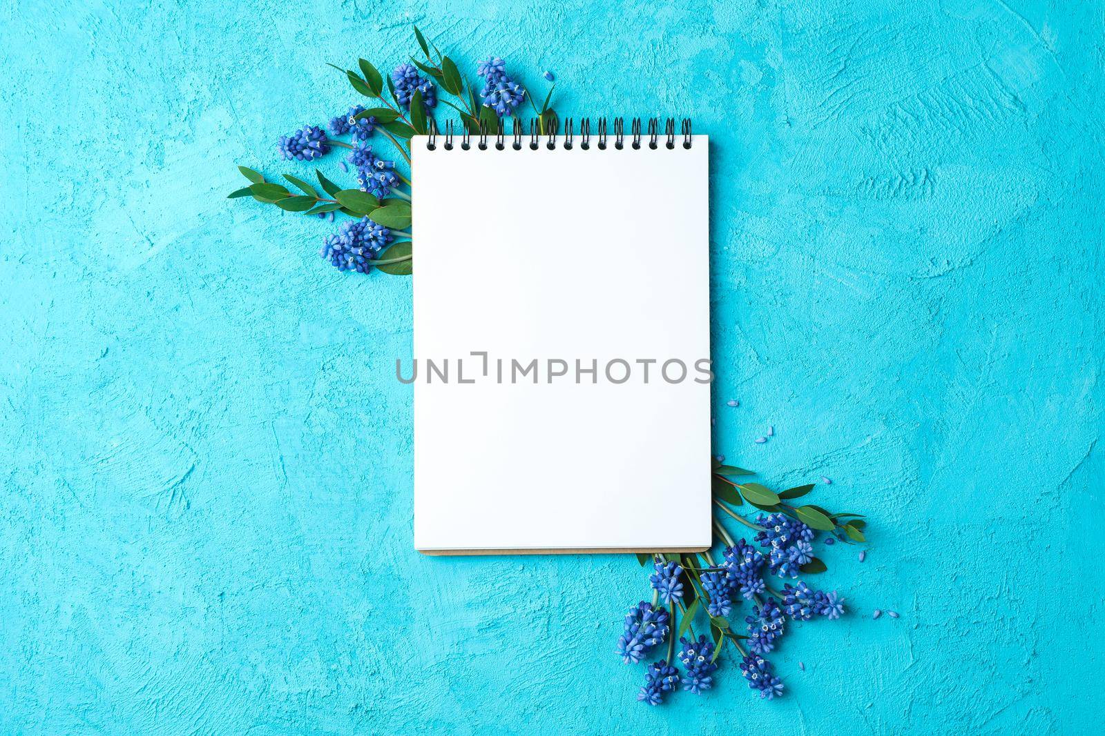 Empty notebook and fresh hyacinths on a blue background, space for text