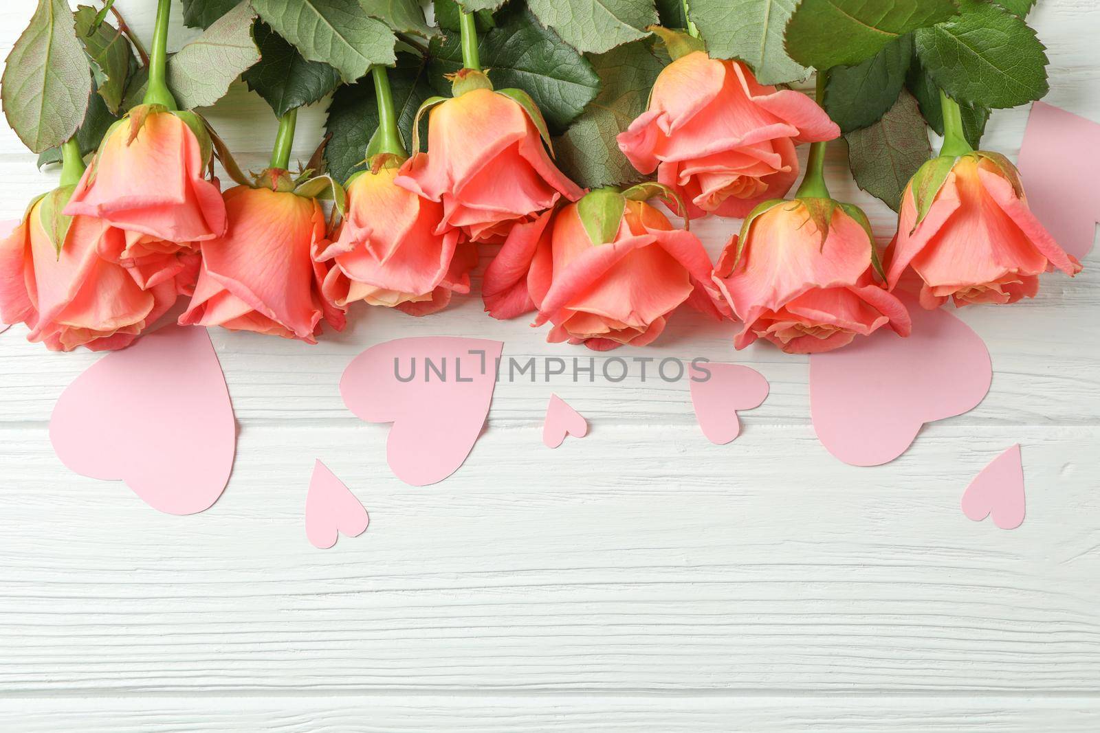 Beautiful orange roses with pink hearts on white background, space for text by AtlasCompany