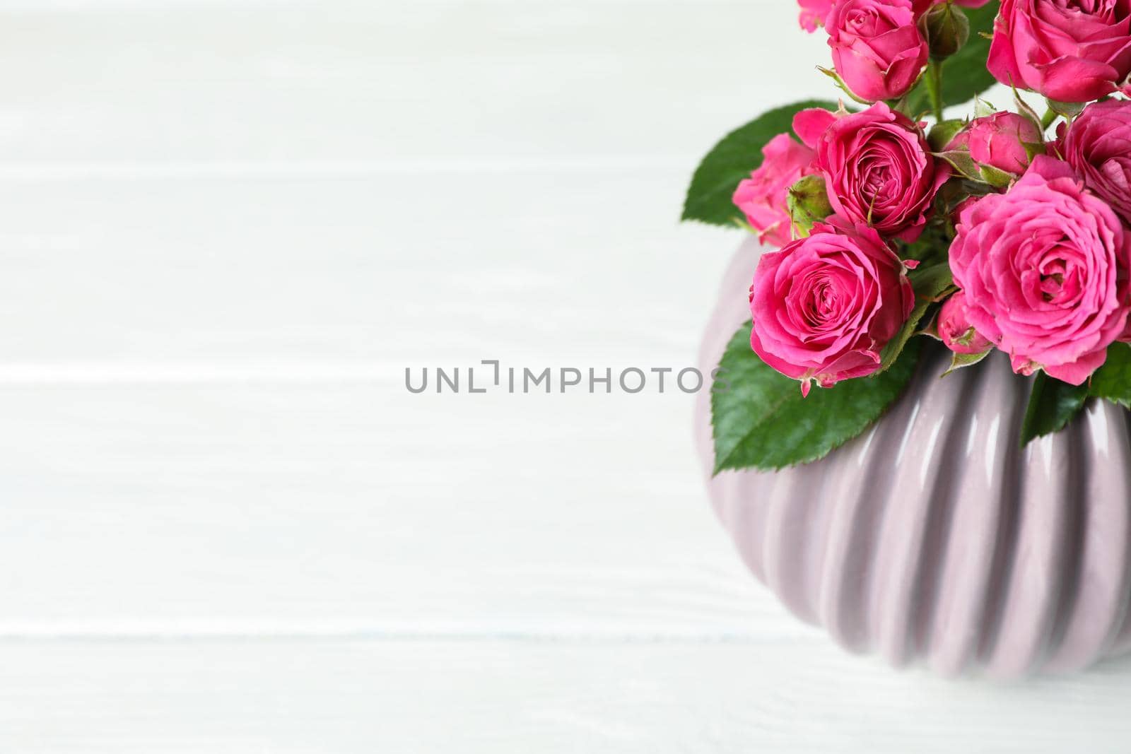 Vase with pink roses and space for text on white background, closeup