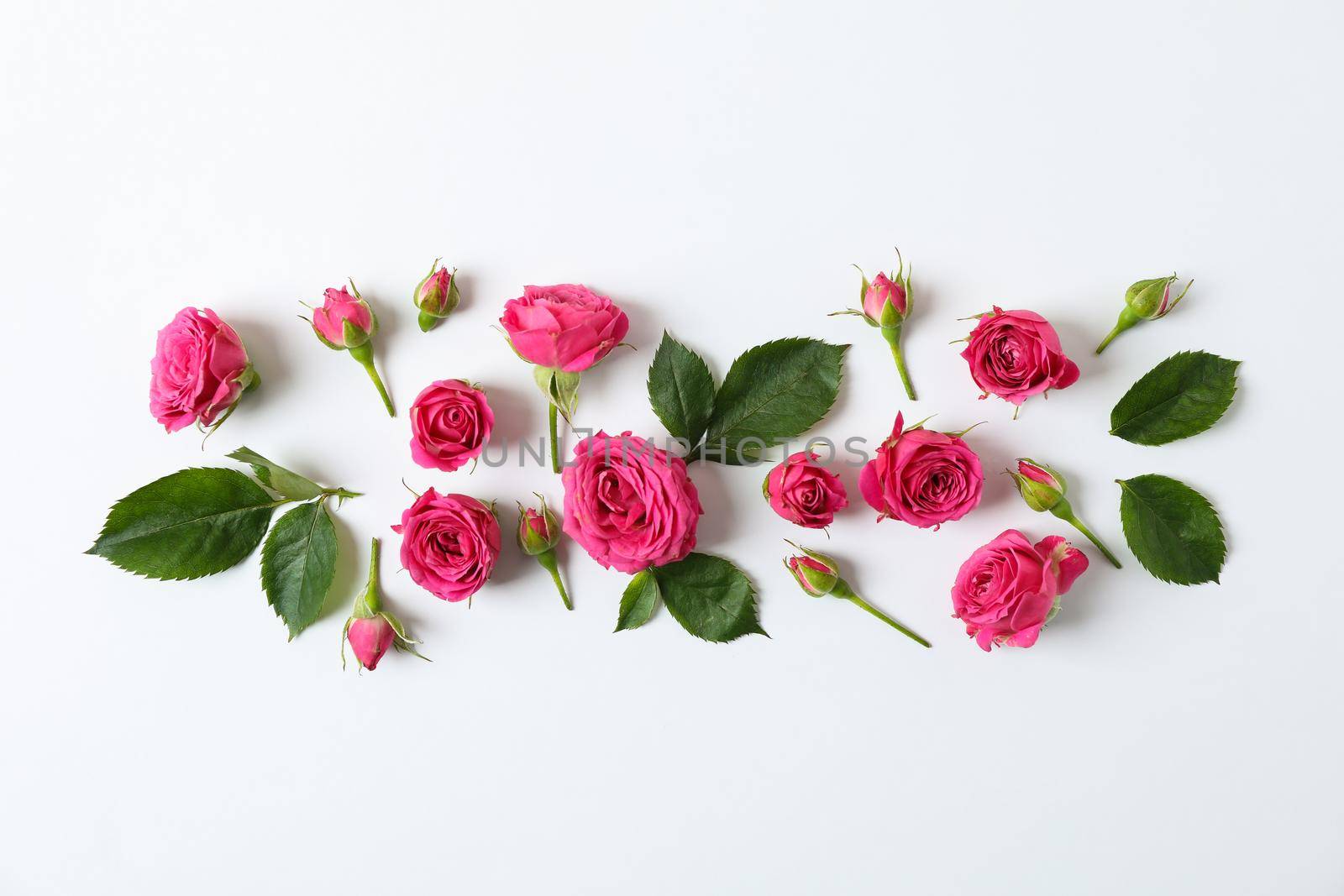 Flat lay composition with roses and petals on white background, space for text