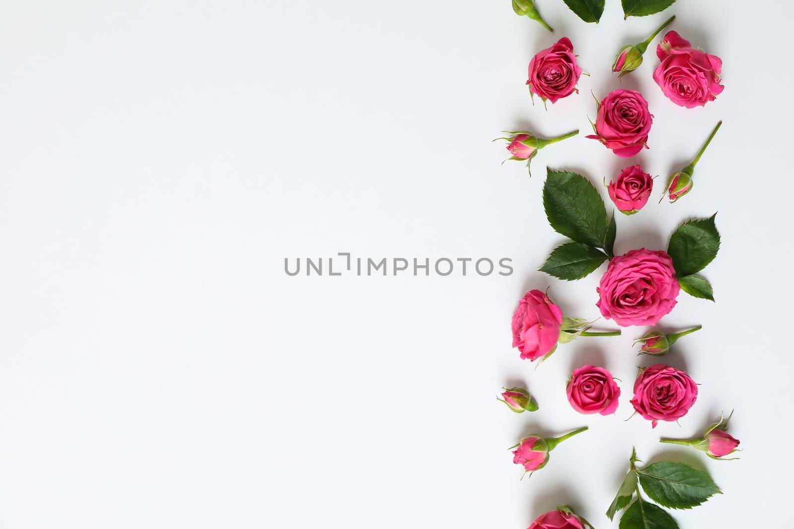 Flat lay composition with roses and petals on white background, space for text