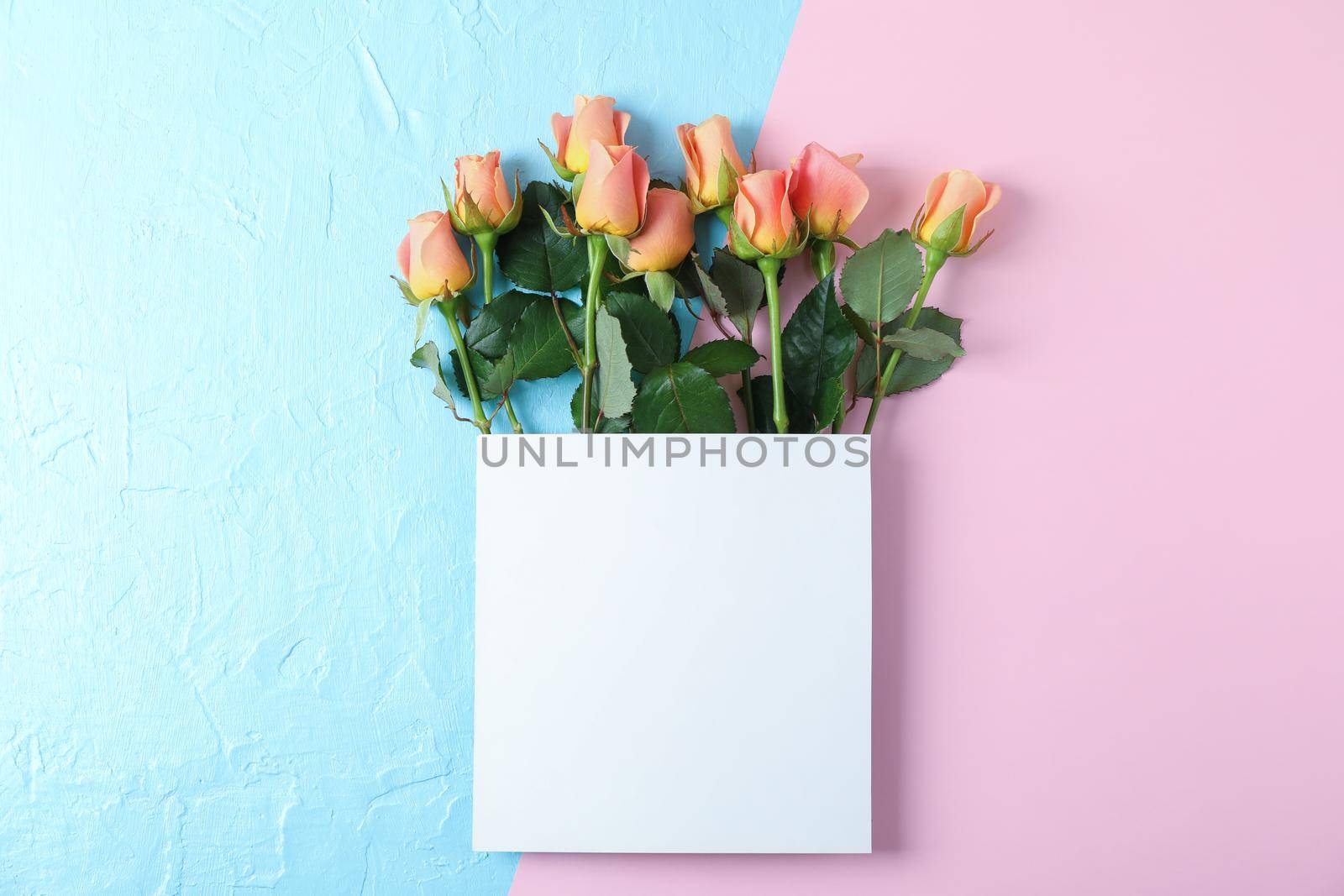 Beautiful pink roses and square with space for text on two tone background