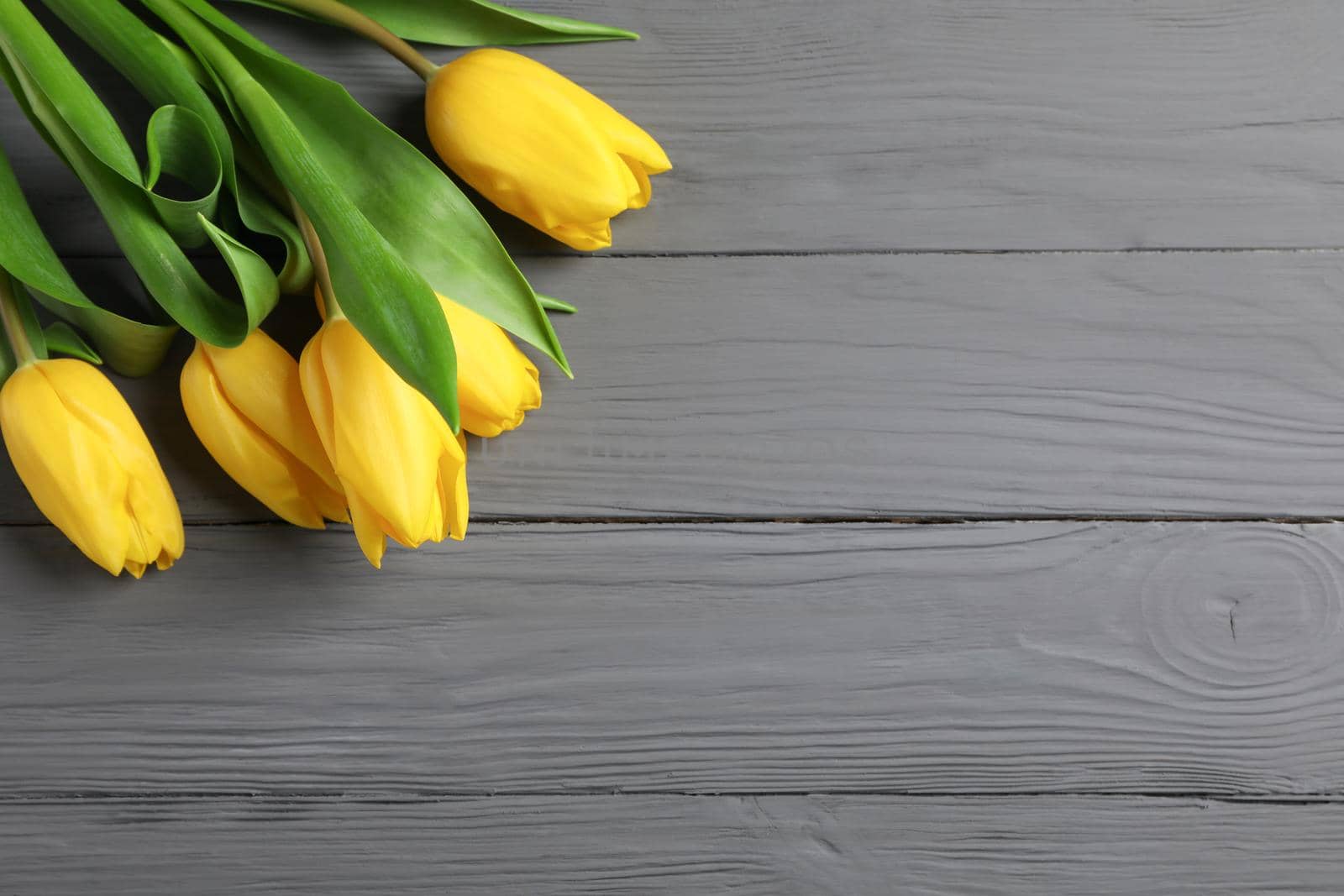 Beautiful yellow tulips on wooden background, space for text. Top view