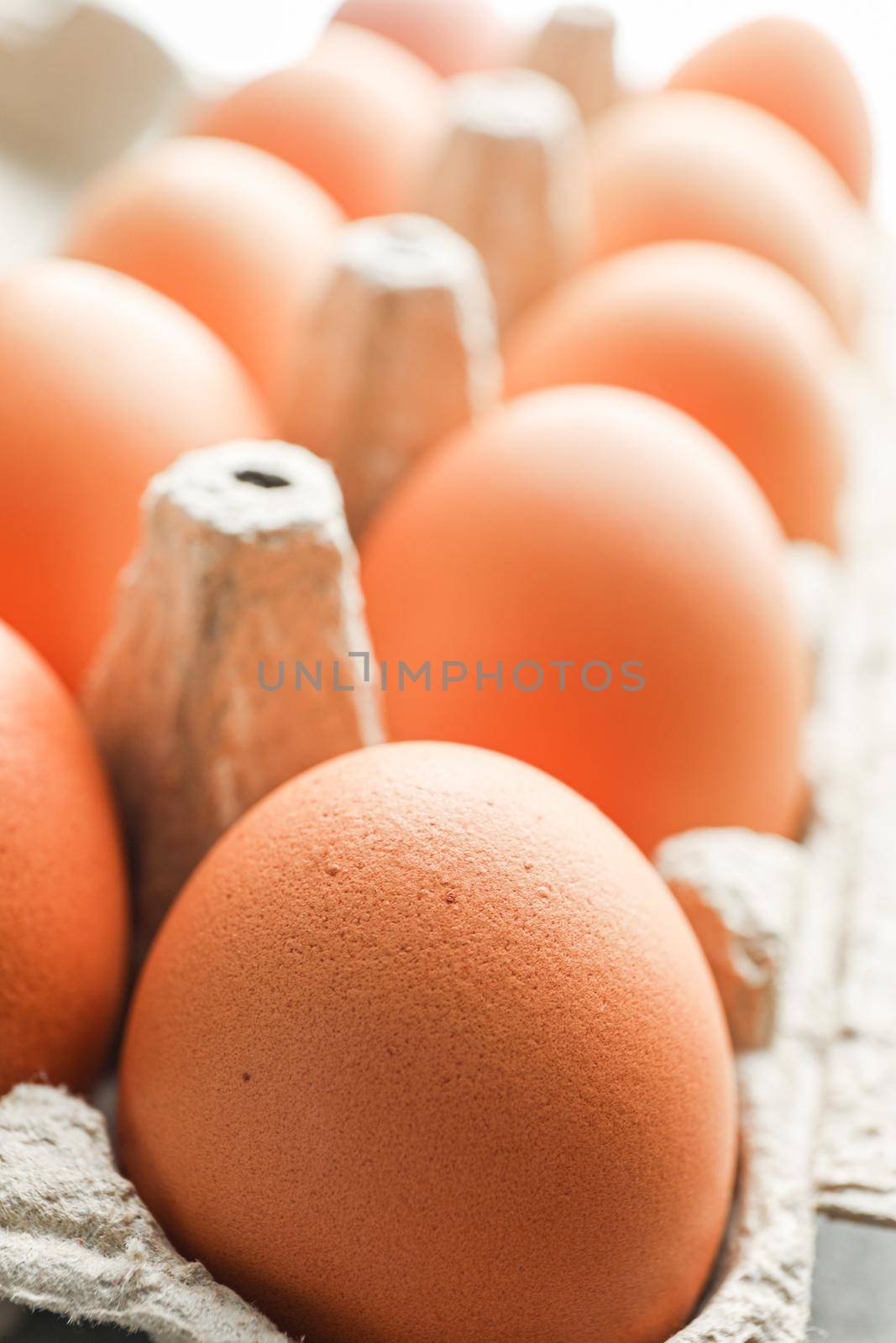 Brown chicken eggs in carton box as background, space for text and closeup