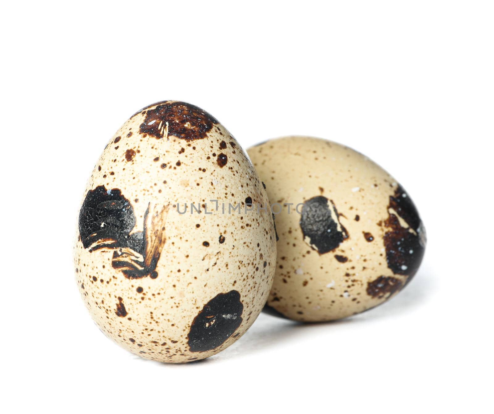 Raw quail eggs isolated on white background by AtlasCompany