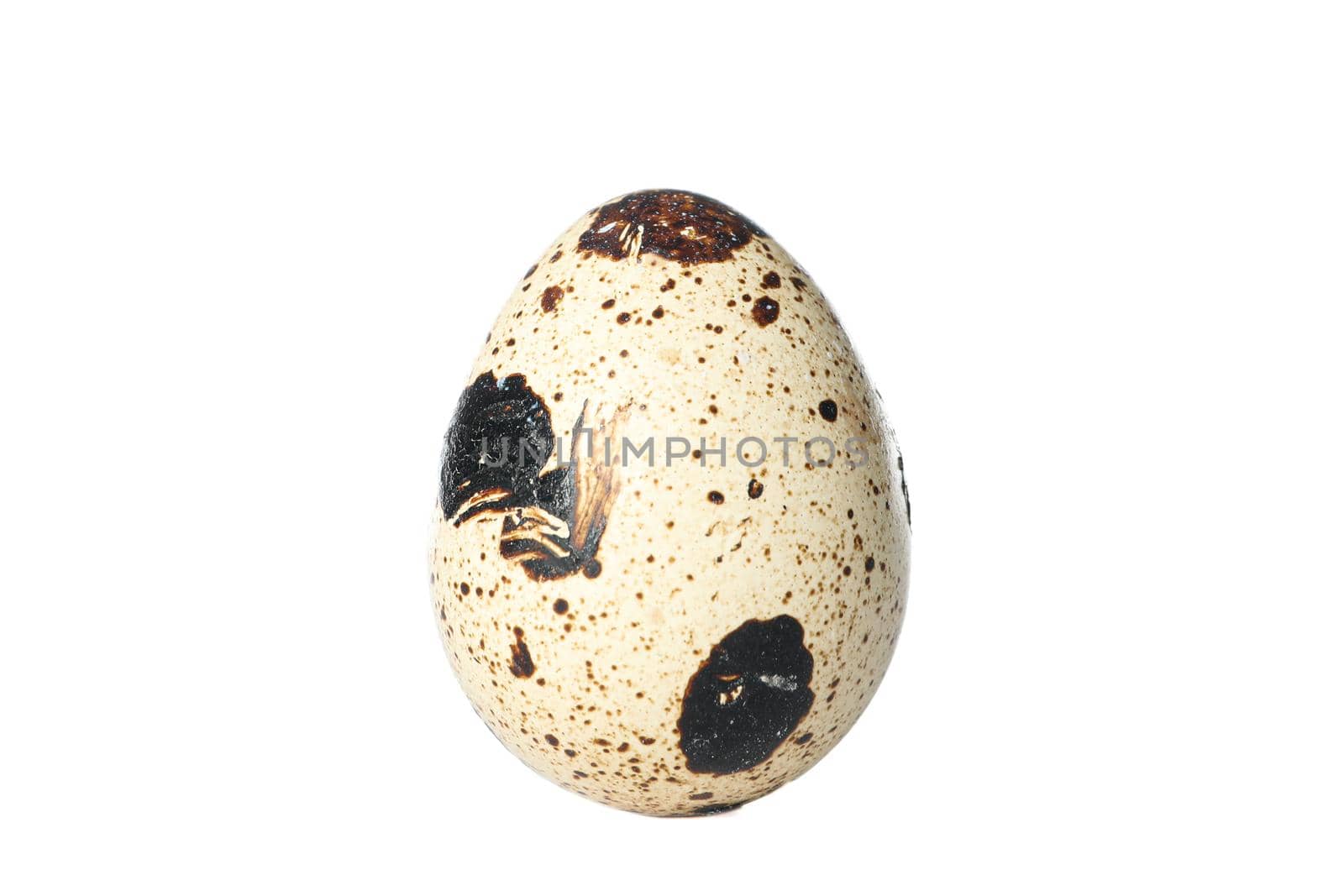 Raw quail egg isolated on white background by AtlasCompany