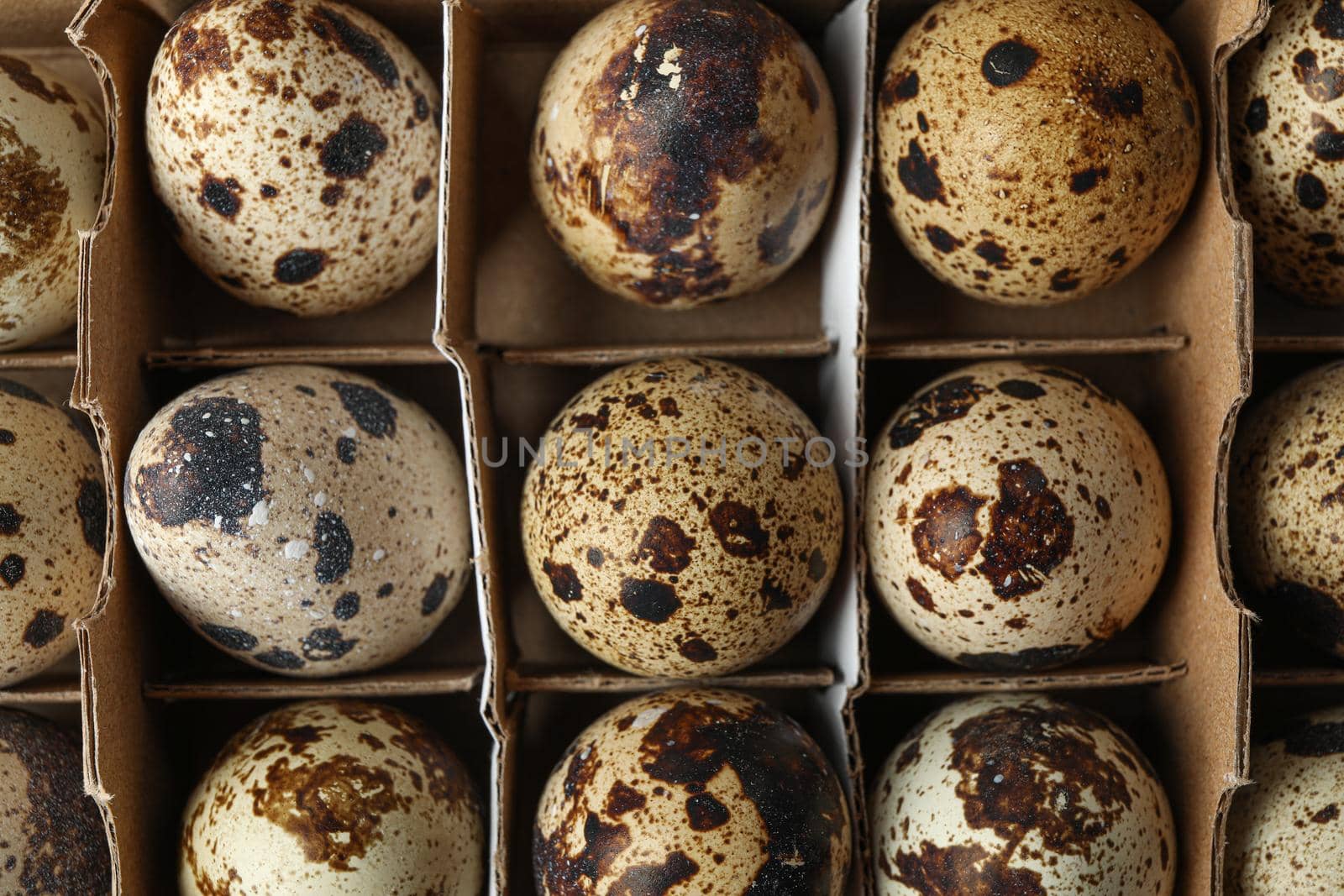 Quail eggs in carton box as background, closeup and top view