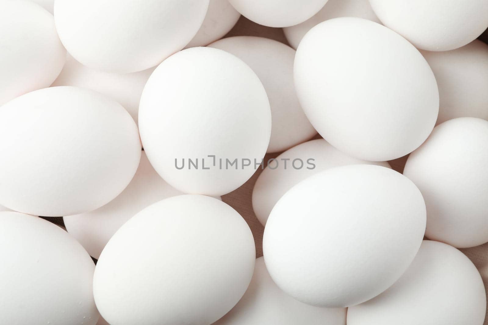 Many white chicken eggs as background, closeup by AtlasCompany