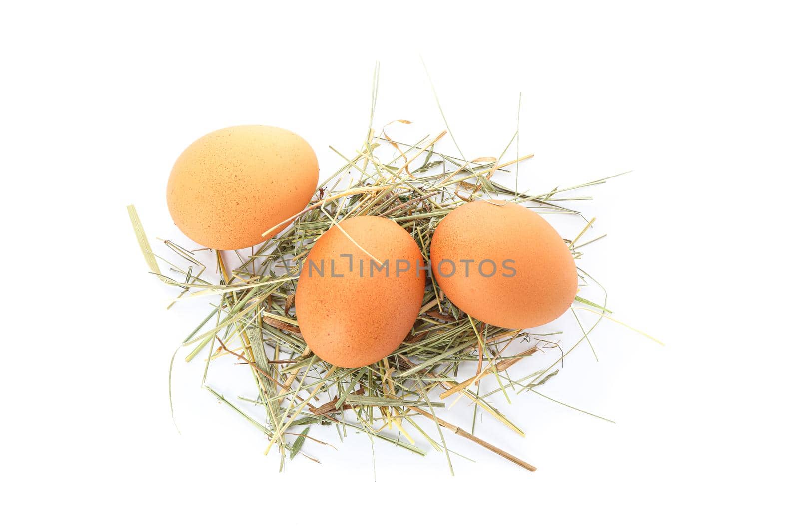 Brown chicken eggs on straw isolated on white background, top view