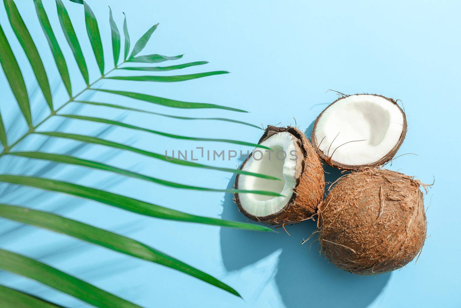 Two coconut one of which split with palm branch on color background by AtlasCompany