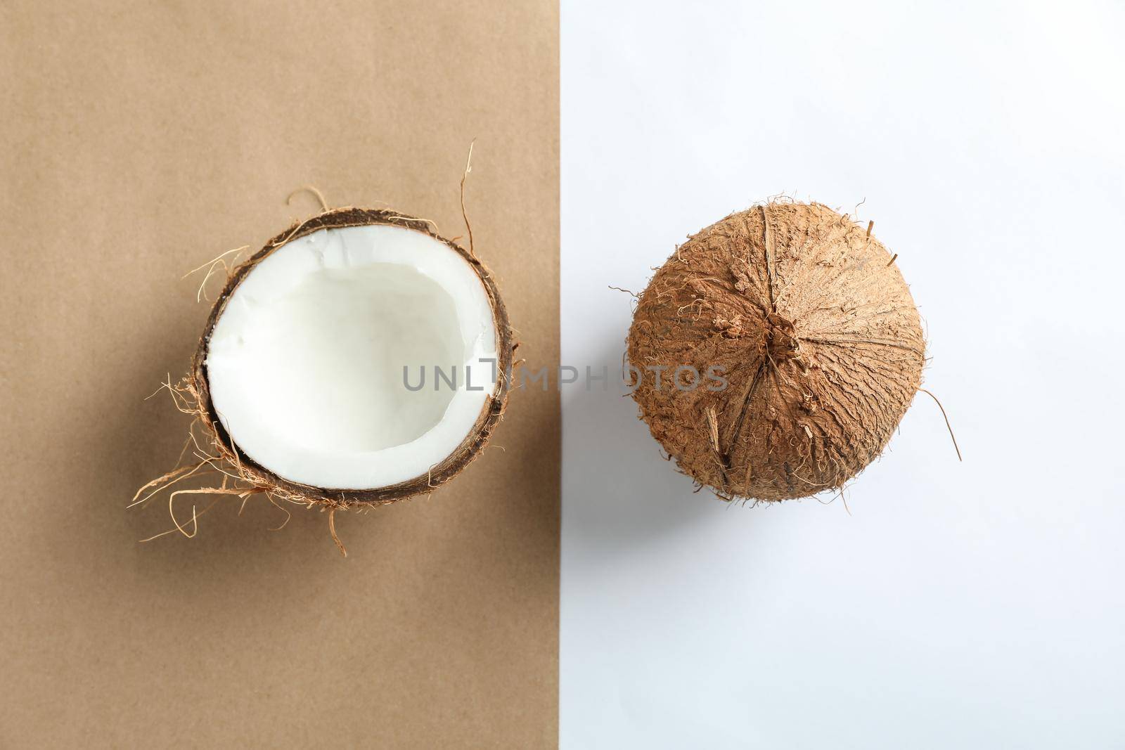 Tropical coconuts on two tone background, space for text