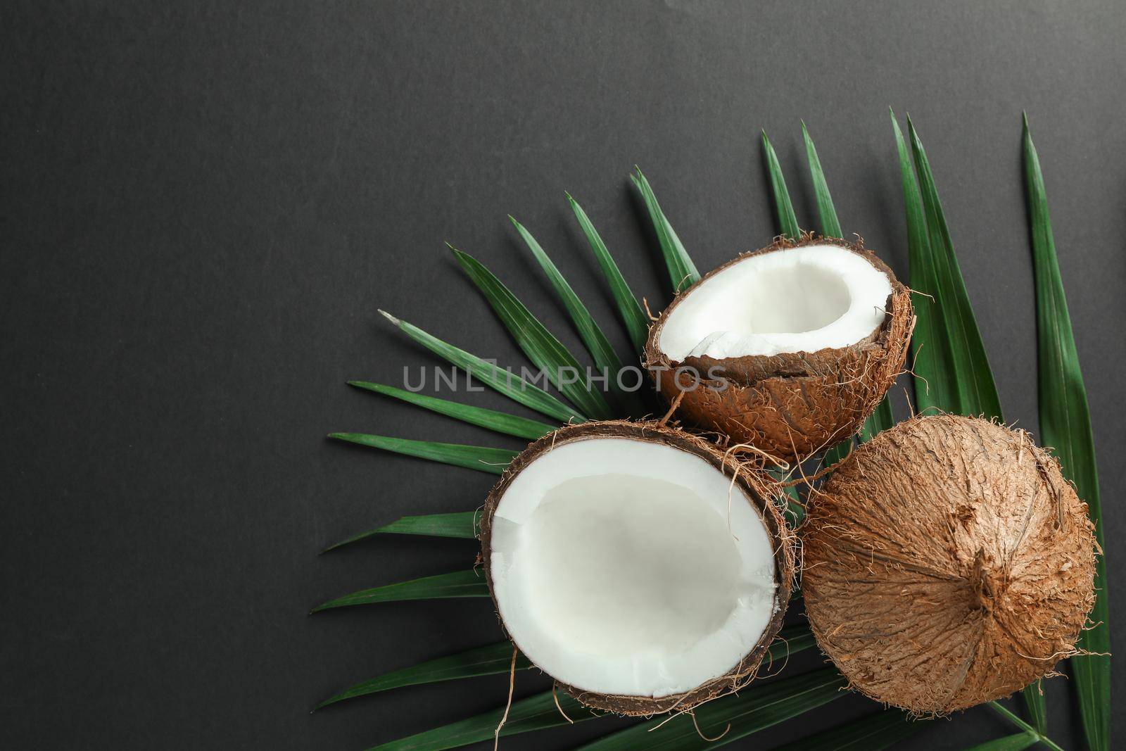 Two coconut one of which split with palm branch on black background by AtlasCompany