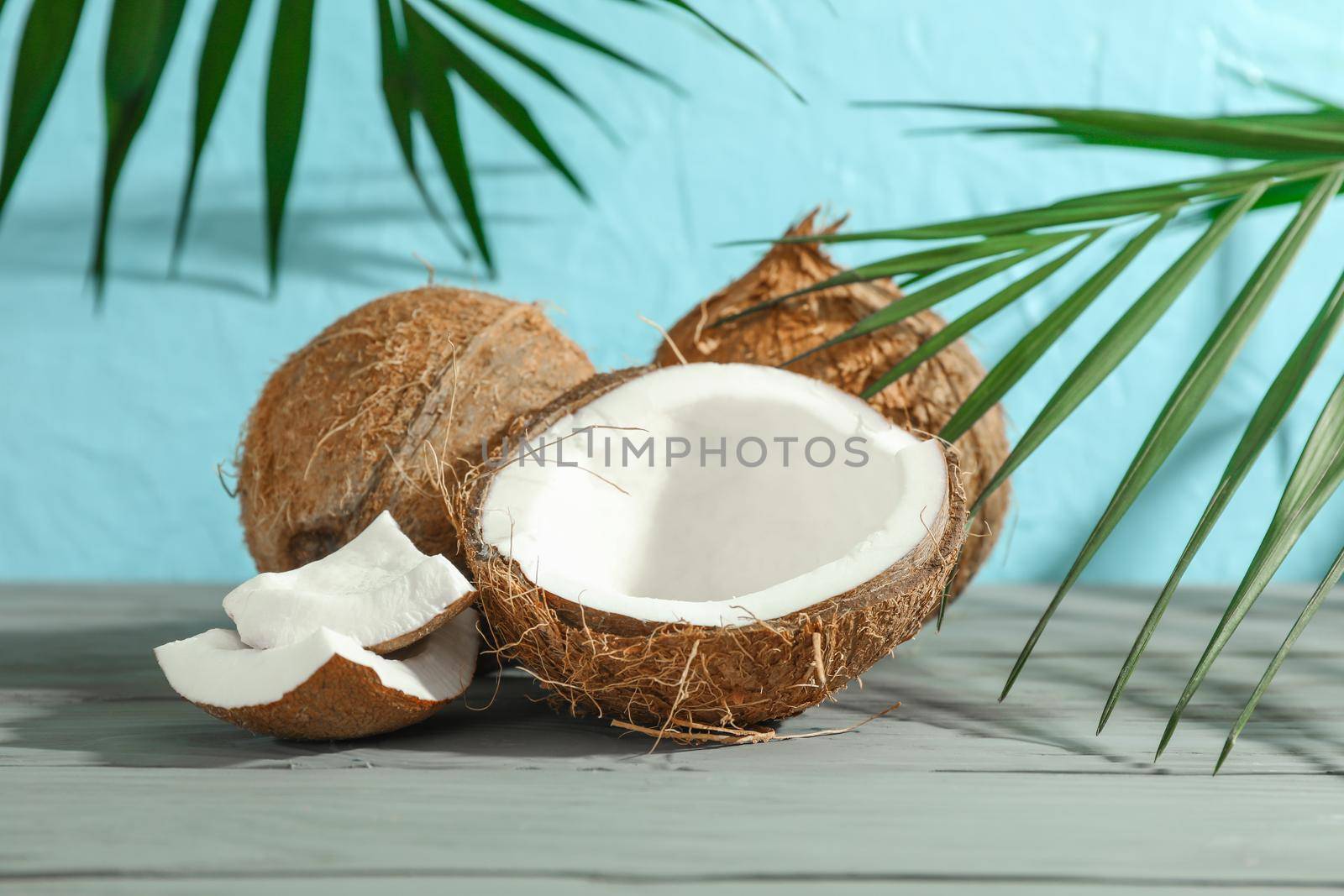 Coconuts with palm branch on wooden table against color background