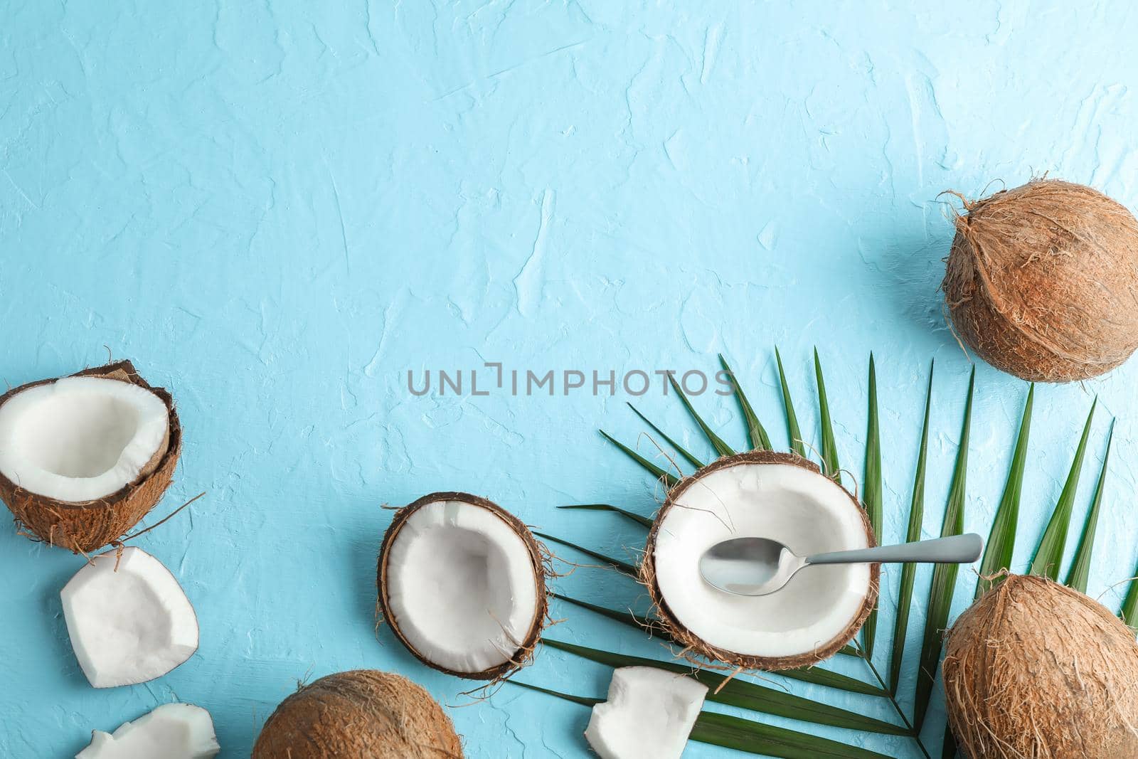 Tropical coconuts with palm branch on color background, space for text by AtlasCompany