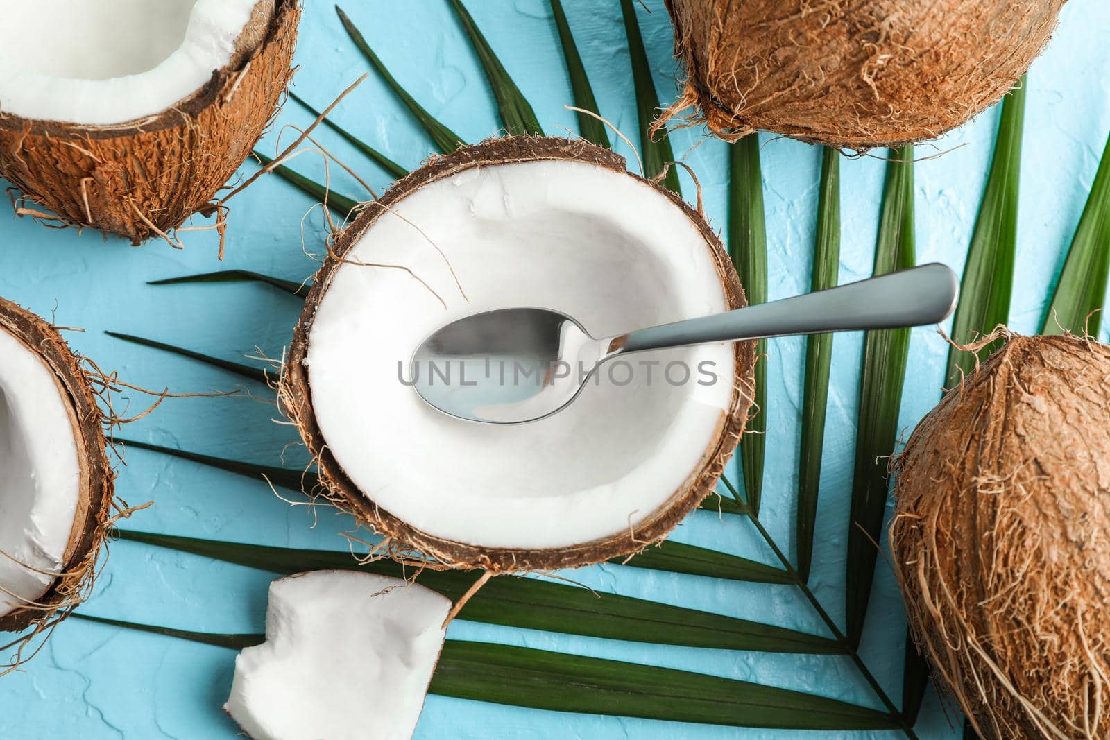 Tropical coconuts with palm branch on color background, space for text by AtlasCompany
