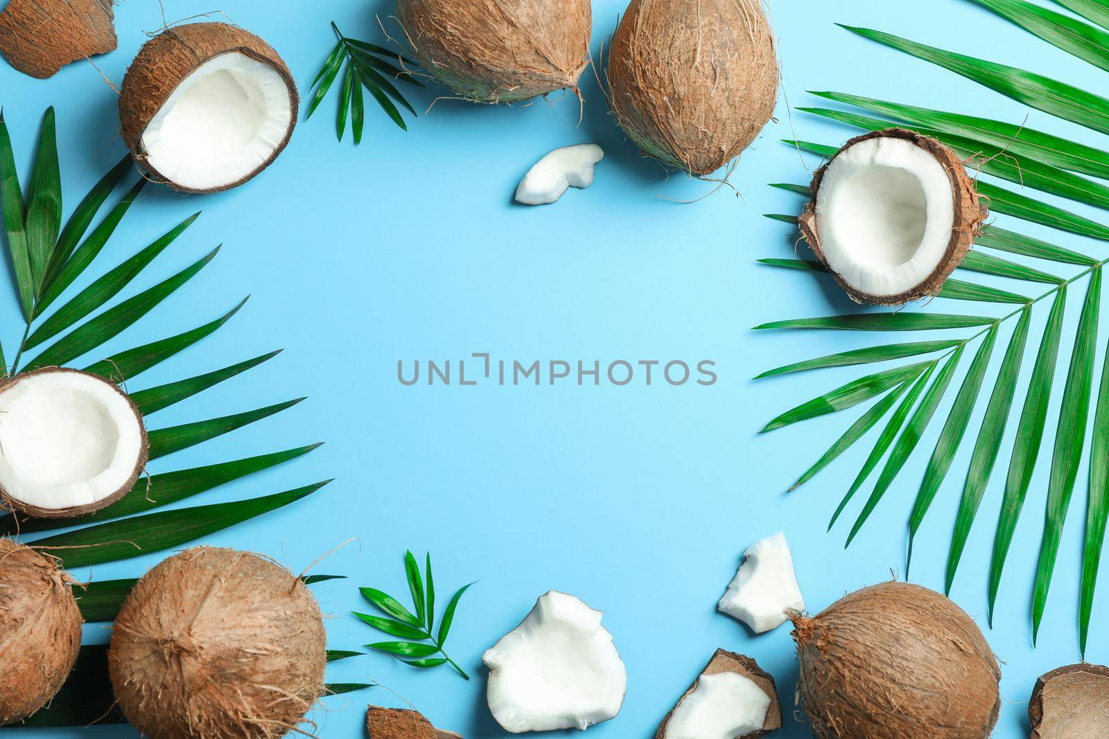 Tropical coconuts with palm branches on color background, space for text by AtlasCompany