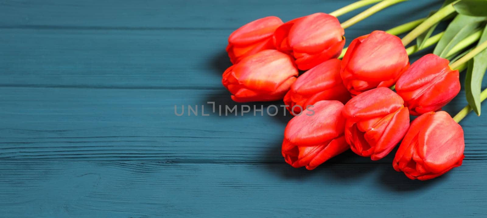 Many beautiful red tulips with green leaves and space for text on color wooden background, closeup by AtlasCompany