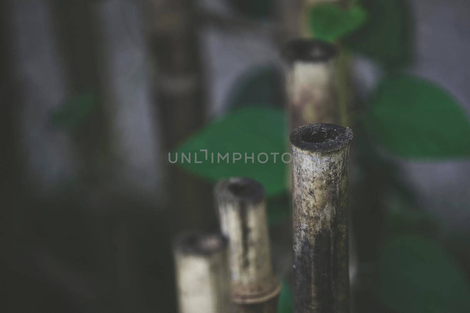 Natural background with bamboo details