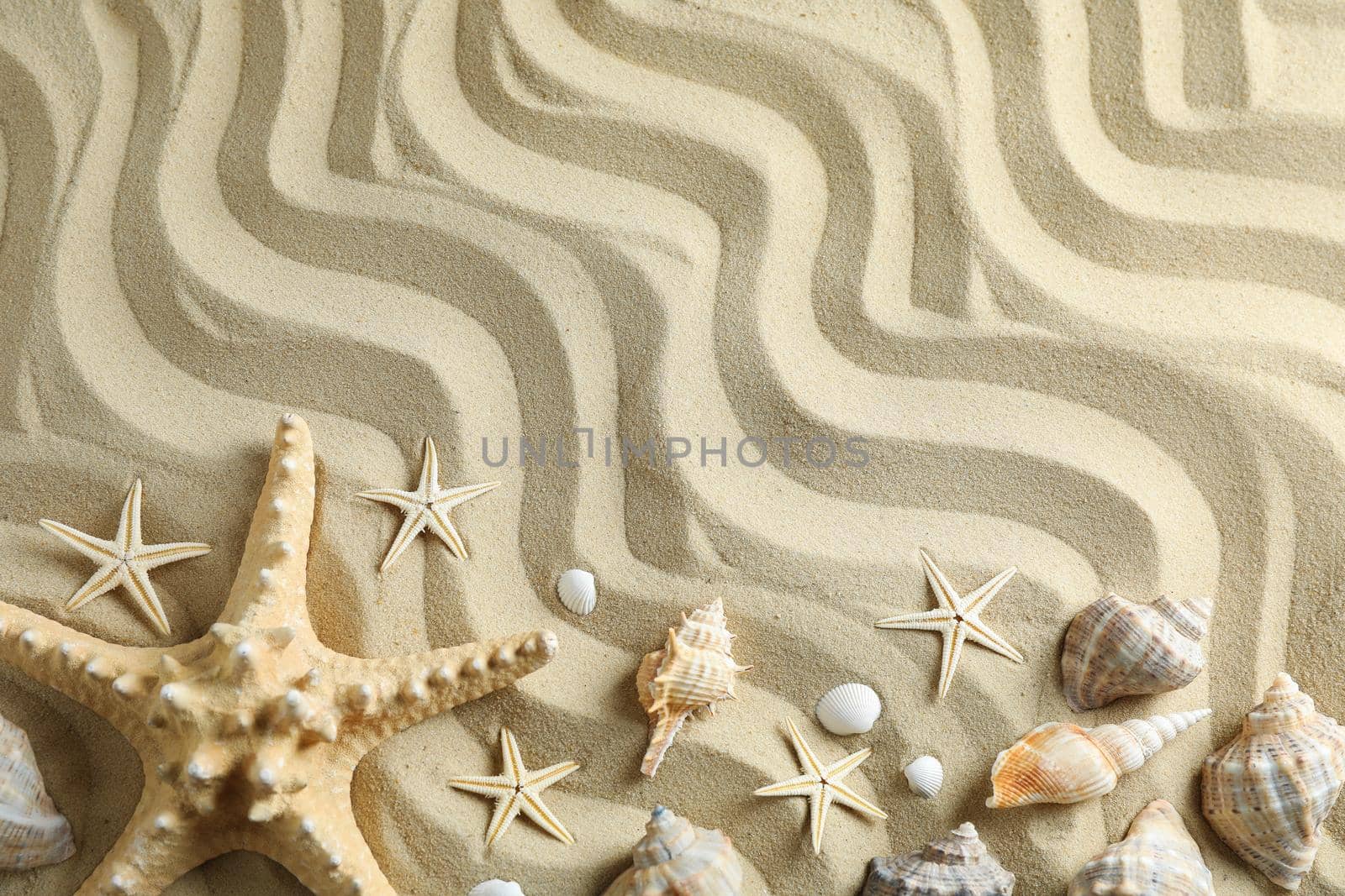 Clear sea sand with starfish and seashells, space for text and top view. Summer vacation background by AtlasCompany