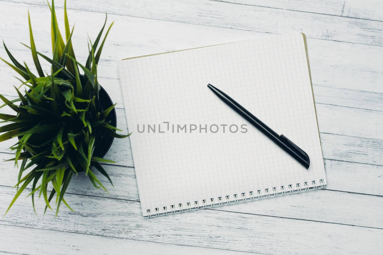 notepad with pen flower potted wooden table office top view. High quality photo