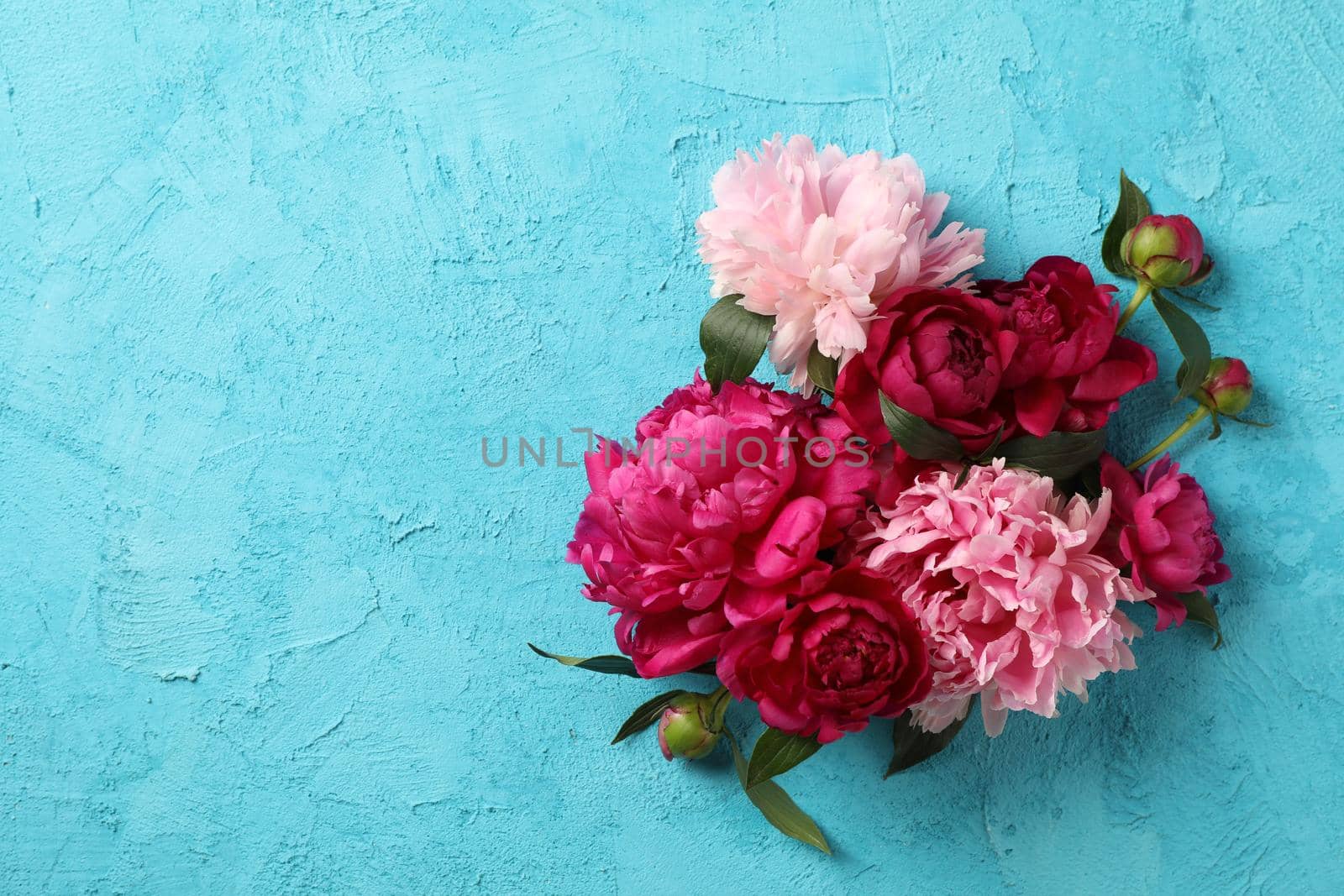 Beautiful peony flowers on color background, space for text by AtlasCompany