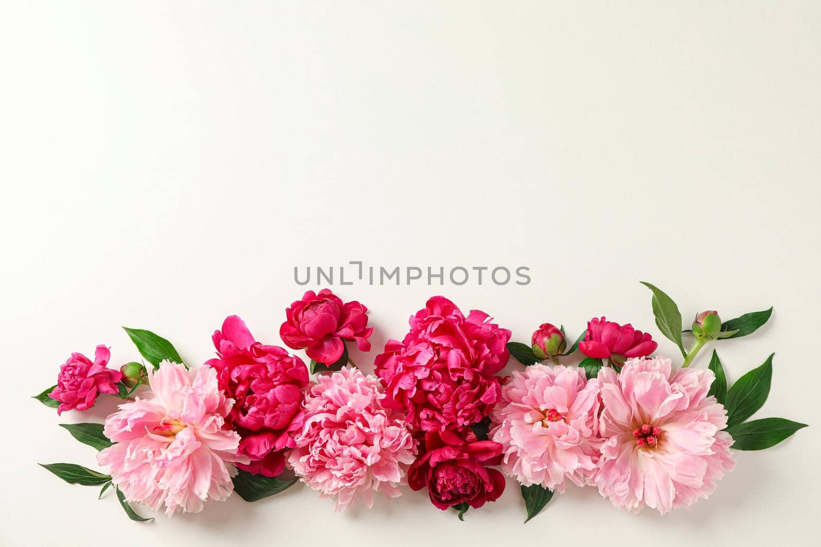 Flat lay composition with beautiful peonies on white background, space for text and top view