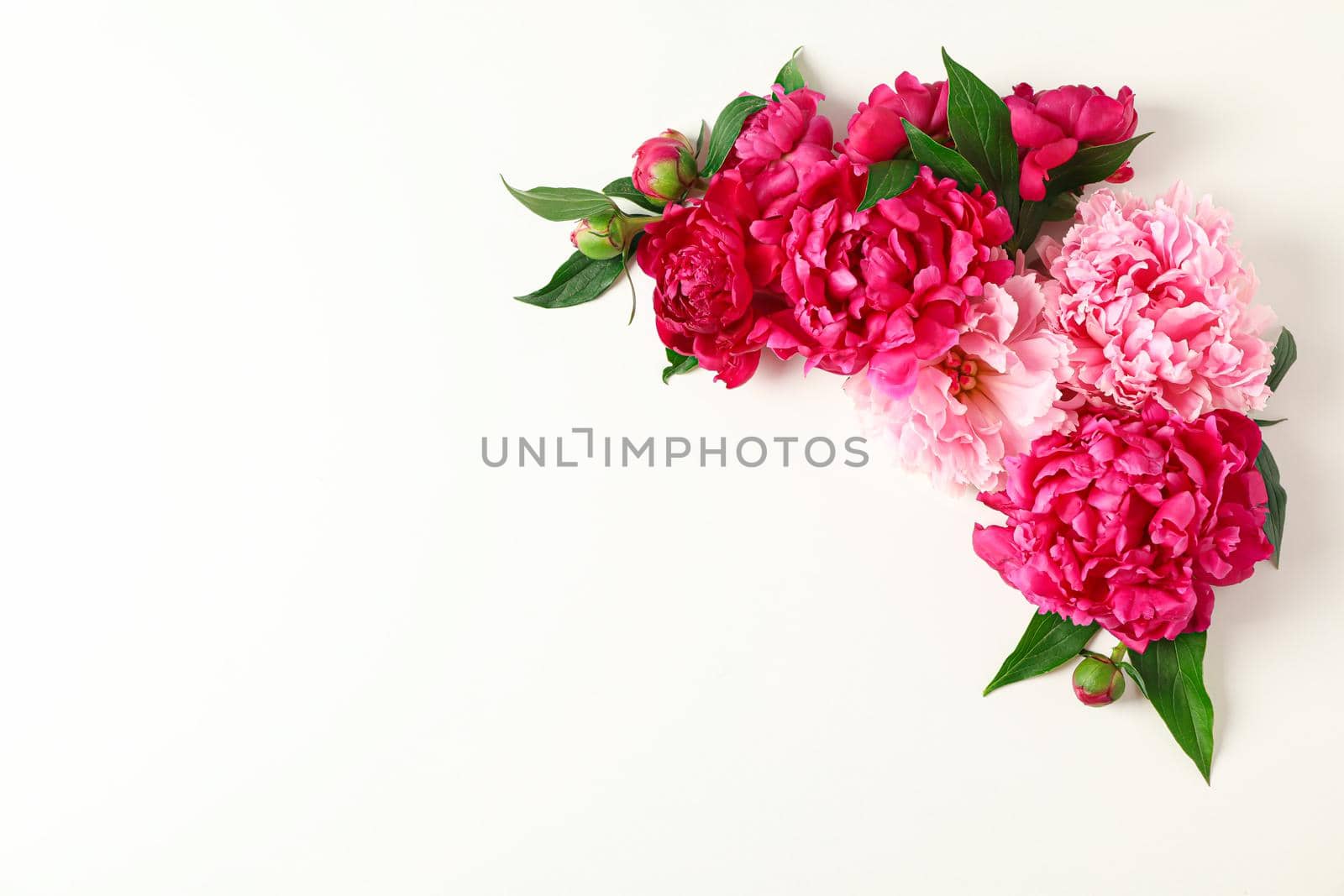 Flat lay composition with beautiful peonies on white background, space for text and top view by AtlasCompany