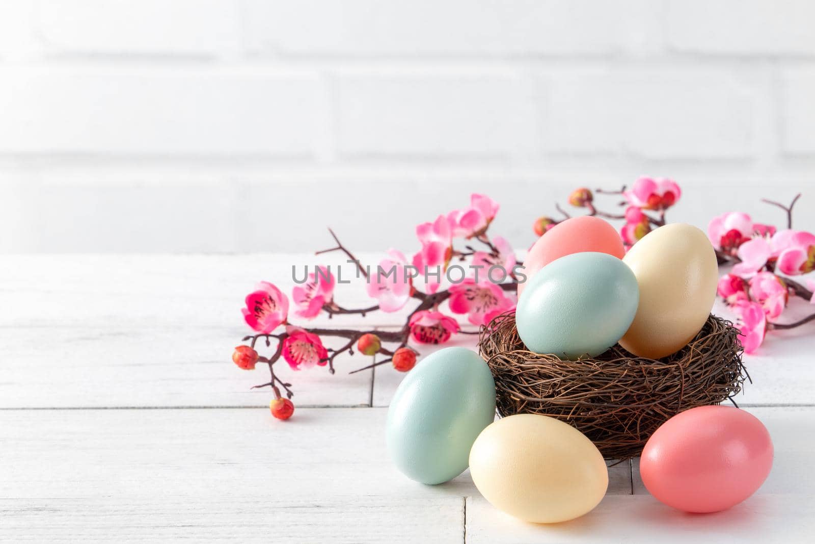 Close up of colorful Easter eggs in the nest with pink plum flower on bright white wooden table background.