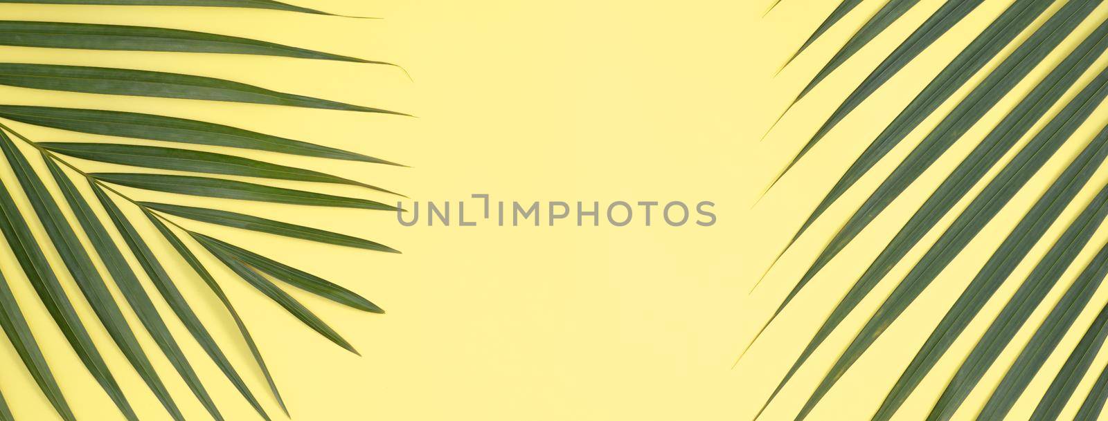 Tropical palm leaves isolated on bright yellow background. by ROMIXIMAGE