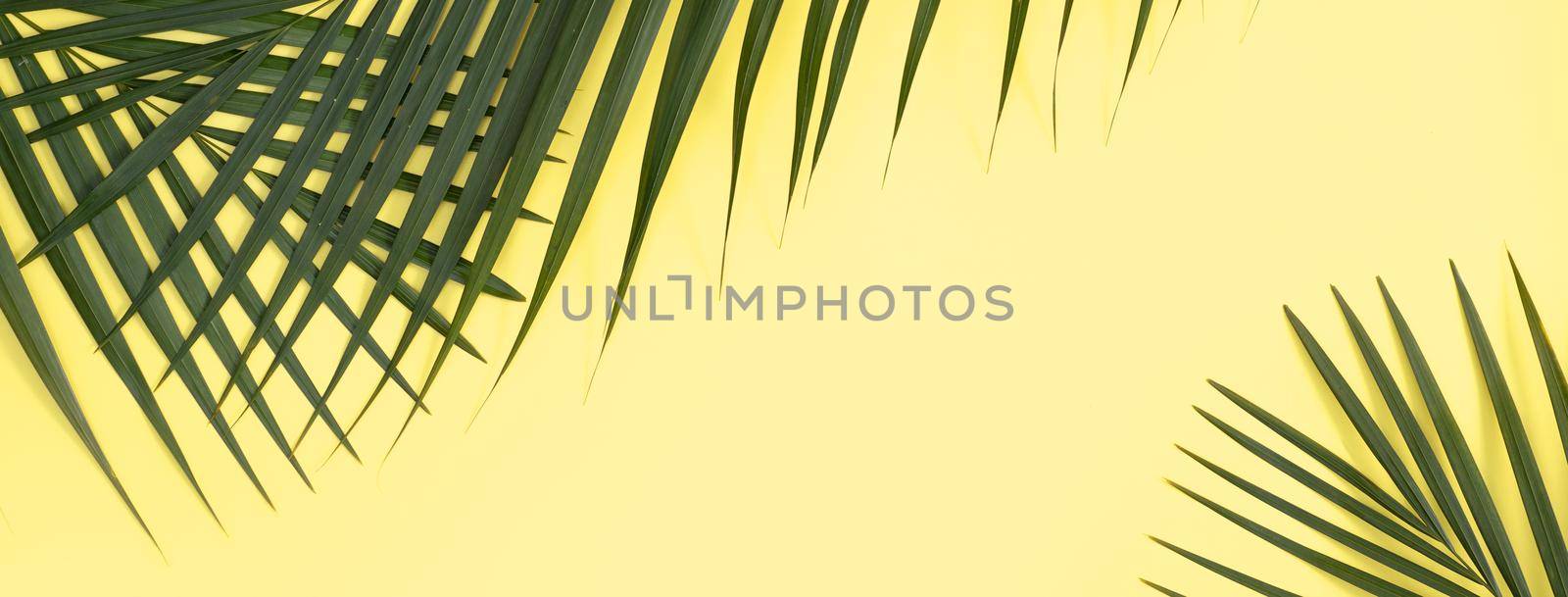 Tropical palm leaves isolated on bright yellow background. by ROMIXIMAGE