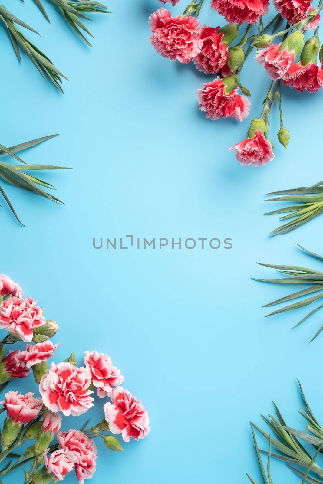 Concept of Mother's day holiday greeting gift design with carnation bouquet on bright blue table background