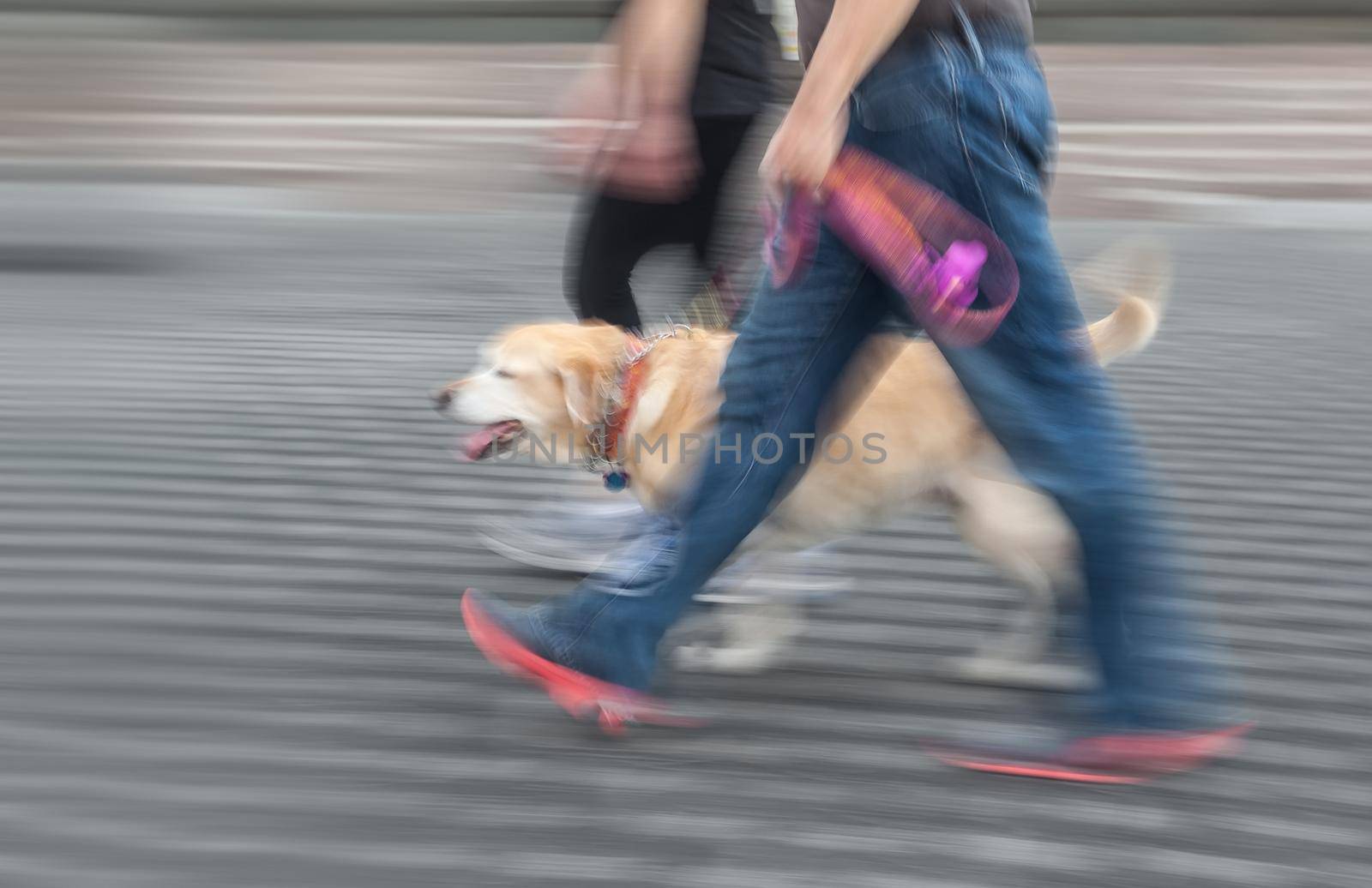 Man and woman walking with a dog. Intentional motion blur