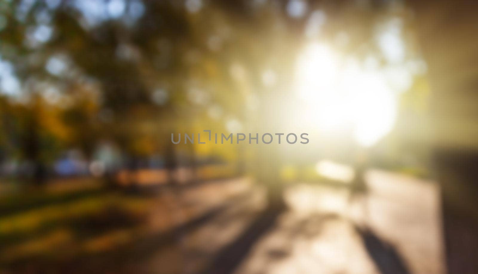 Defocused image of autumn city park with trees and sunlight