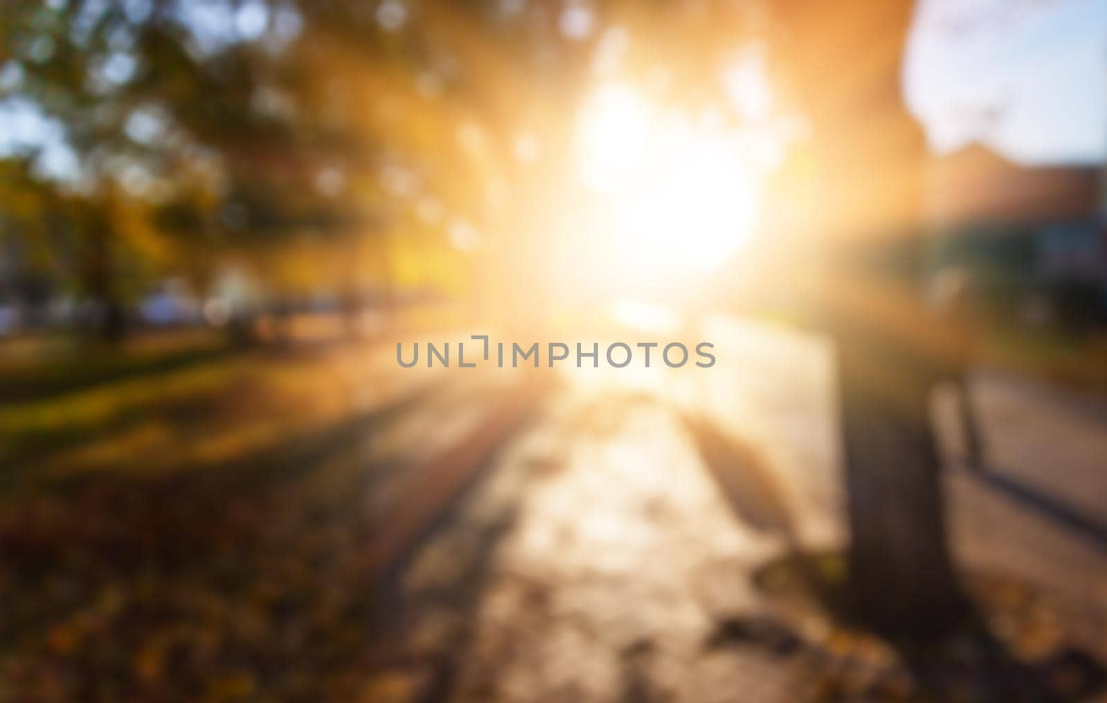 Defocused image of autumn city park with trees and sunlight