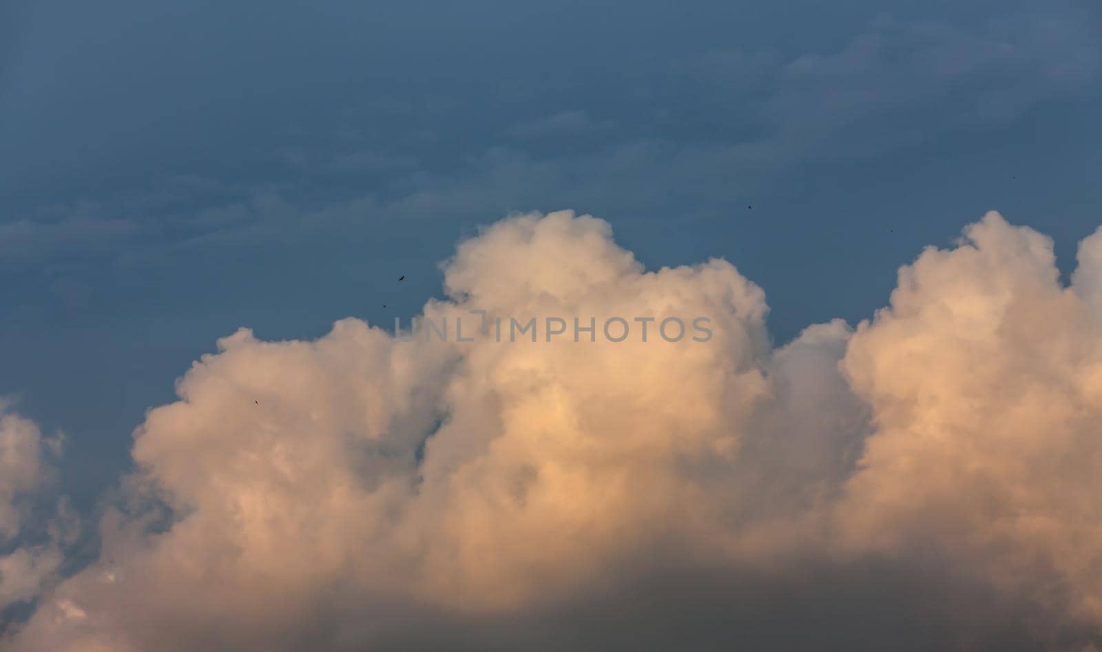 Evening Cloud and blue sky. Sluffy cumulonimbus clouds. Nature background